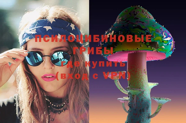 мдпв Надым