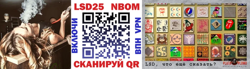 Марки N-bome 1500мкг  где можно купить   Покровск 