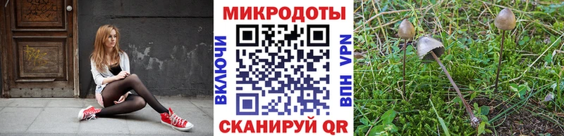 Псилоцибиновые грибы ЛСД  ОМГ ОМГ рабочий сайт  Покровск  наркошоп 